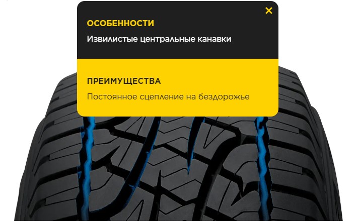 Извилистые центральные канавки